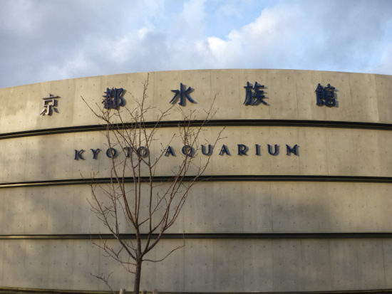 f:id:kazenokomichi:20141208231309j:plain f:id:kazenokomichi:20141208231309j:plain
