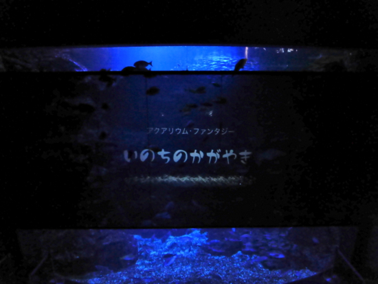 f:id:kazenokomichi:20141208233353j:plain f:id:kazenokomichi:20141208233353j:plain