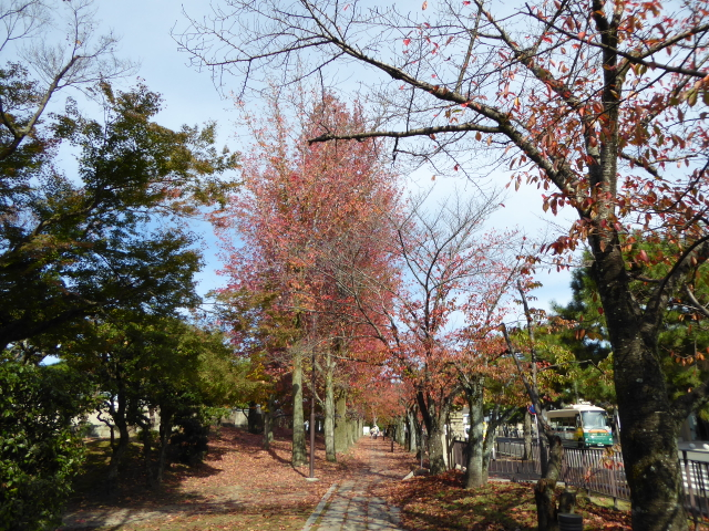 f:id:kazenokomichi:20151117005346j:plain