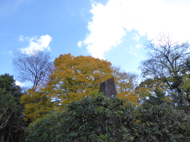 f:id:kazenokomichi:20151208015223j:plain