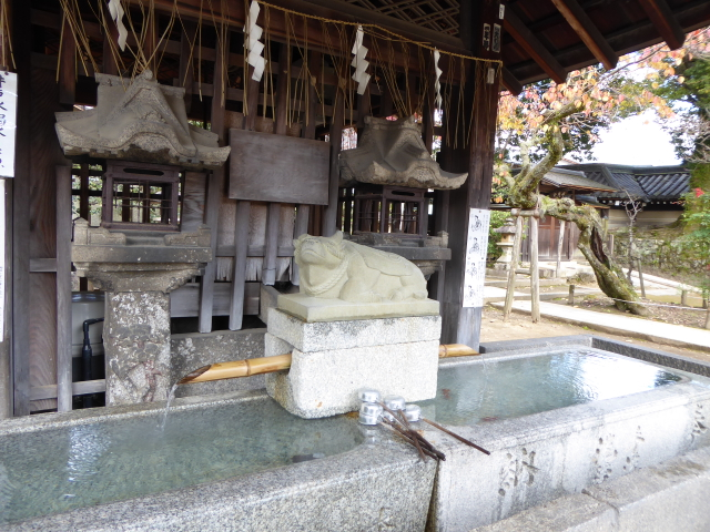f:id:kazenokomichi:20151208015859j:plain