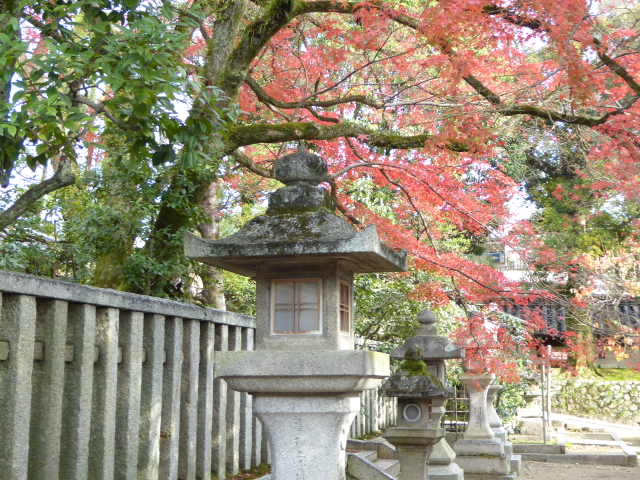 f:id:kazenokomichi:20151208020250j:plain