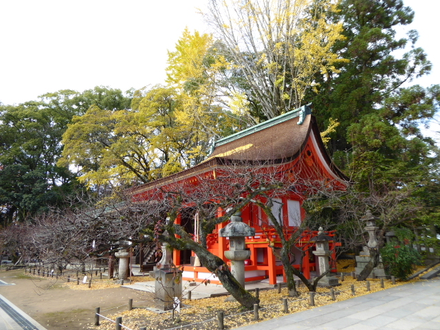 f:id:kazenokomichi:20151208020614j:plain