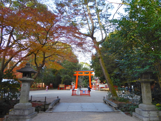 f:id:kazenokomichi:20151216000537j:plain