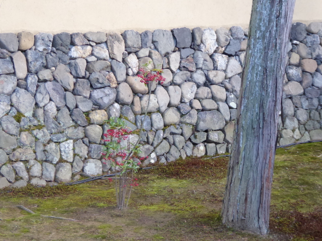 f:id:kazenokomichi:20160110155601j:plain f:id:kazenokomichi:20160110155601j:plain