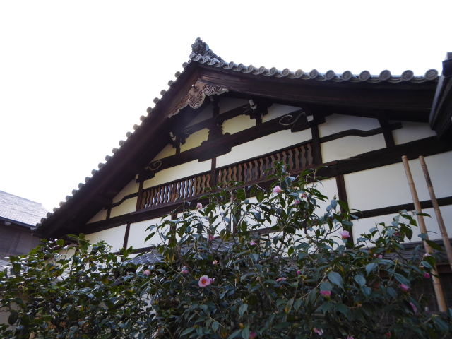 f:id:kazenokomichi:20160110175209j:plain f:id:kazenokomichi:20160110175209j:plain