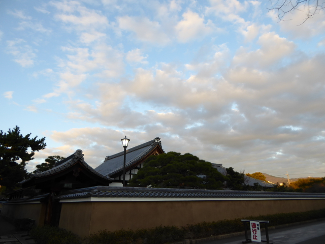 f:id:kazenokomichi:20160110225303j:plain f:id:kazenokomichi:20160110225303j:plain