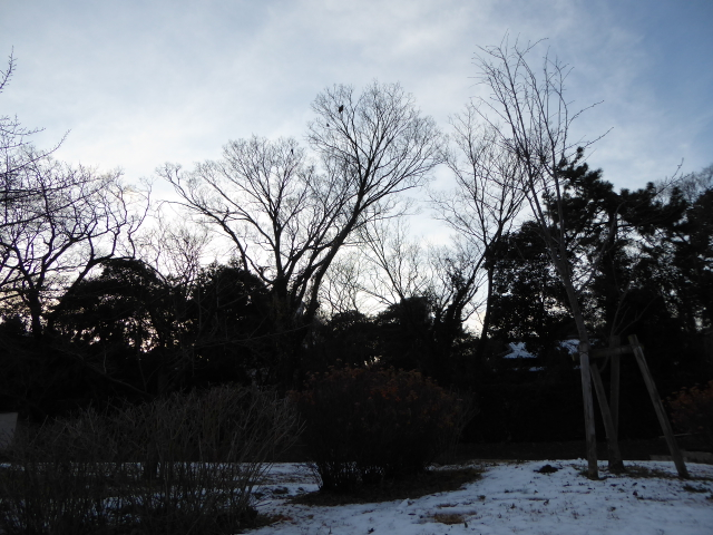 f:id:kazenokomichi:20160121020701j:plain f:id:kazenokomichi:20160121020701j:plain