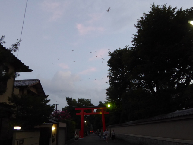 f:id:kazenokomichi:20160821130714j:plain