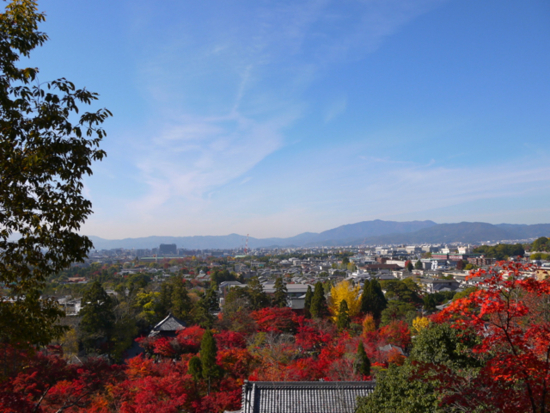 f:id:kazenokomichi:20161210165208j:plain f:id:kazenokomichi:20161210165208j:plain