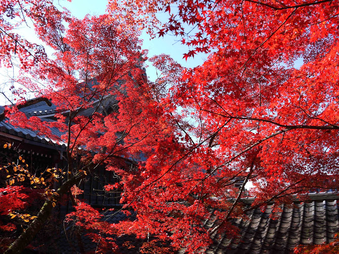 f:id:kazenokomichi:20161213233338j:plain f:id:kazenokomichi:20161213233338j:plain