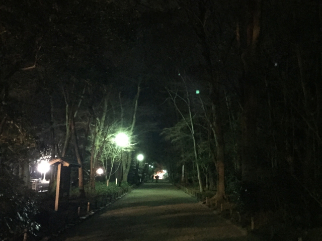 f:id:kazenokomichi:20170101161020j:plain