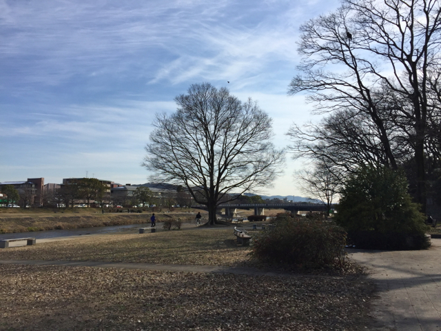 f:id:kazenokomichi:20170119184244j:plain f:id:kazenokomichi:20170119184244j:plain