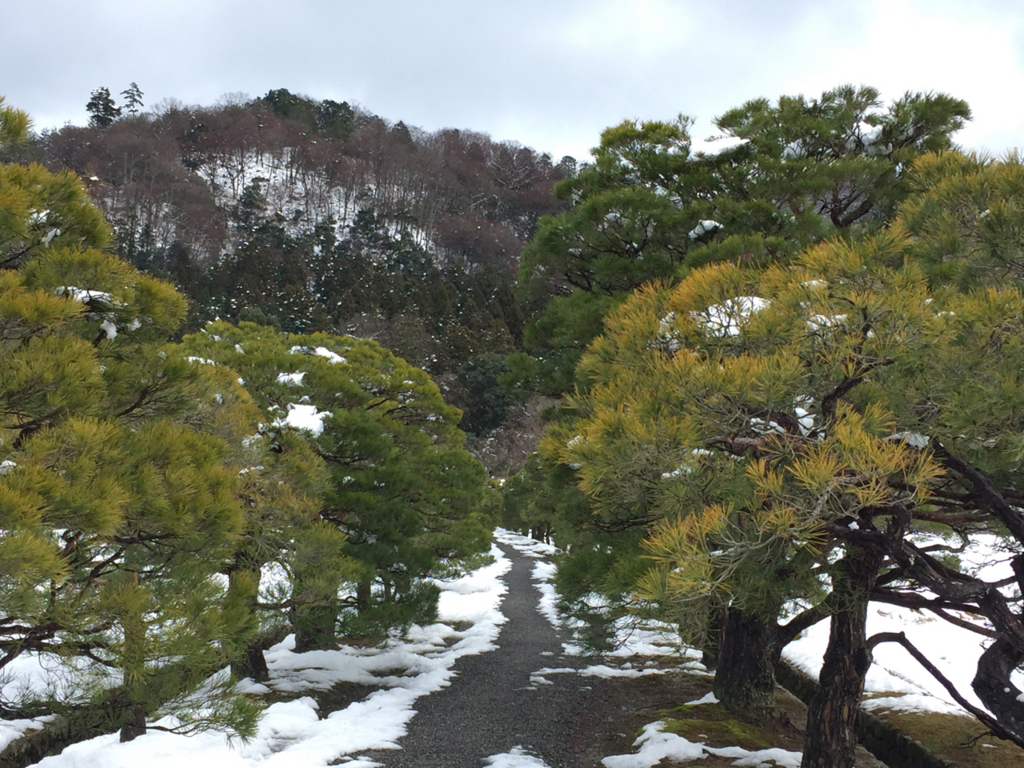 f:id:kazenokomichi:20180125192818j:plain