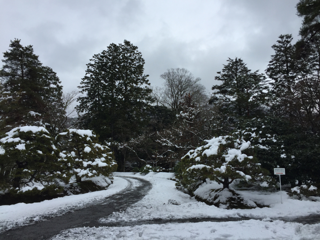 f:id:kazenokomichi:20180125193146j:plain