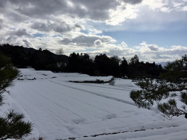 f:id:kazenokomichi:20180125202614j:plain