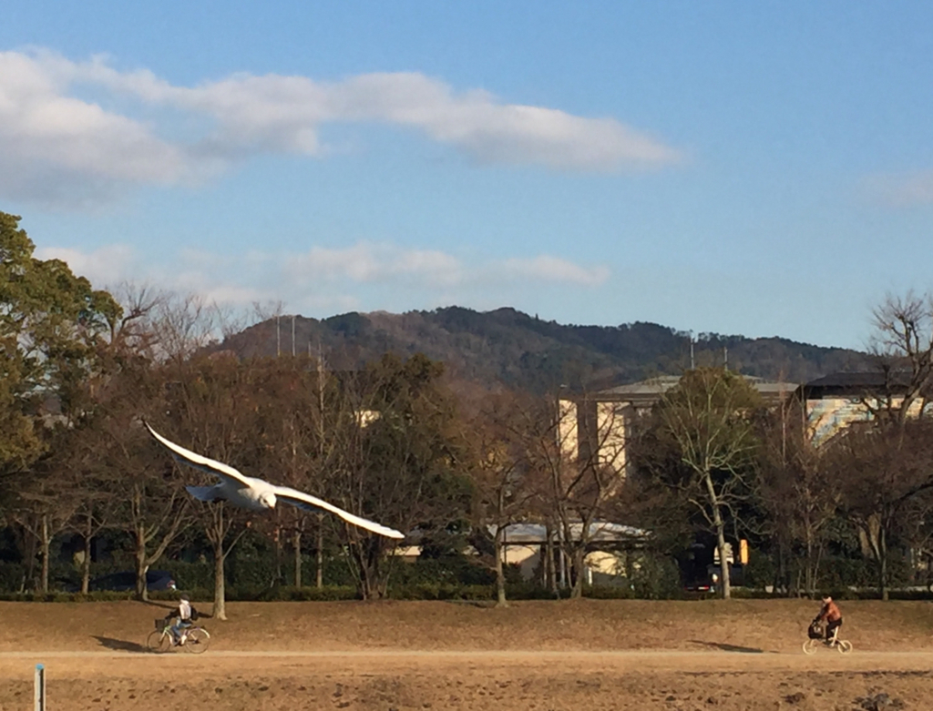 f:id:kazenokomichi:20180210155642j:plain f:id:kazenokomichi:20180210155642j:plain