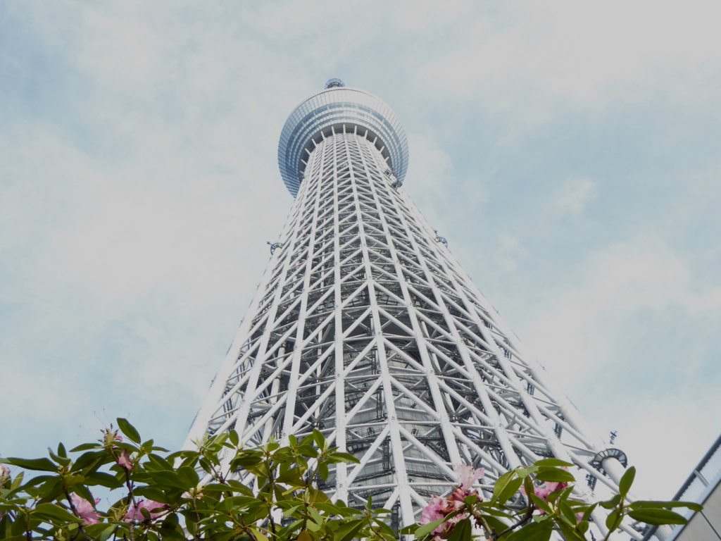 f:id:kazenokomichi:20180210194331j:plain