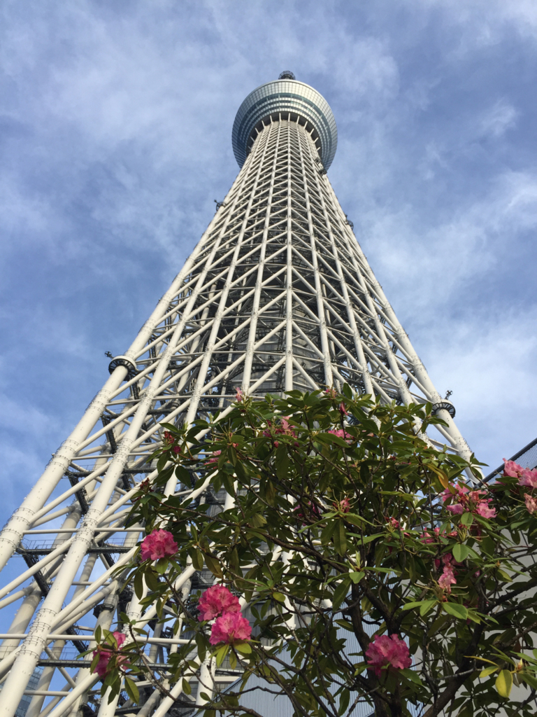 f:id:kazenokomichi:20180210195005j:plain