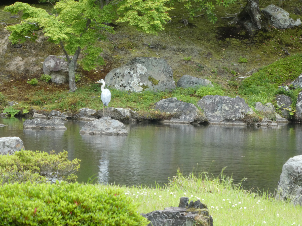 f:id:kazenokomichi:20190601181709j:plain f:id:kazenokomichi:20190601181709j:plain