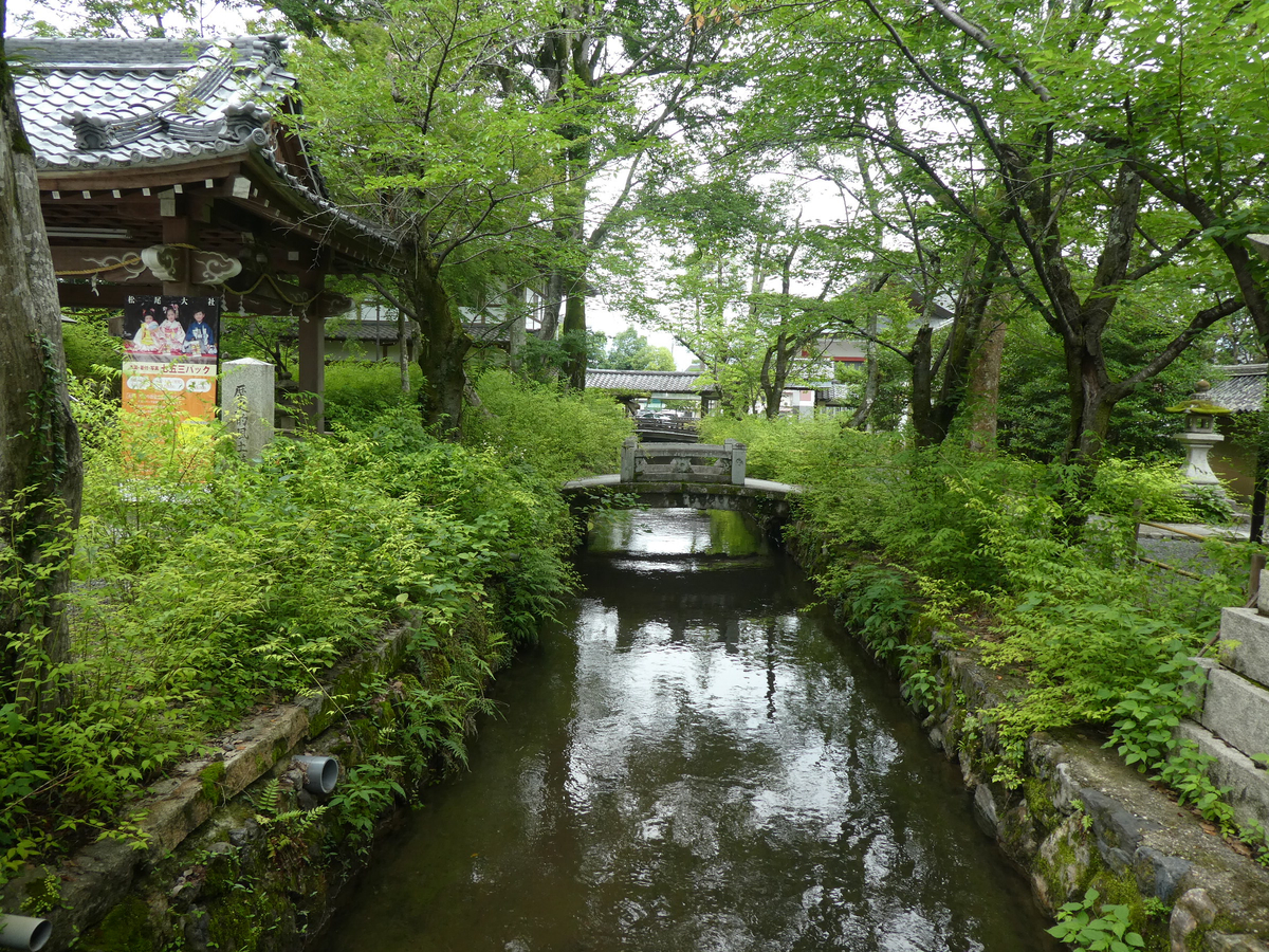 f:id:kazenokomichi:20190701181624j:plain