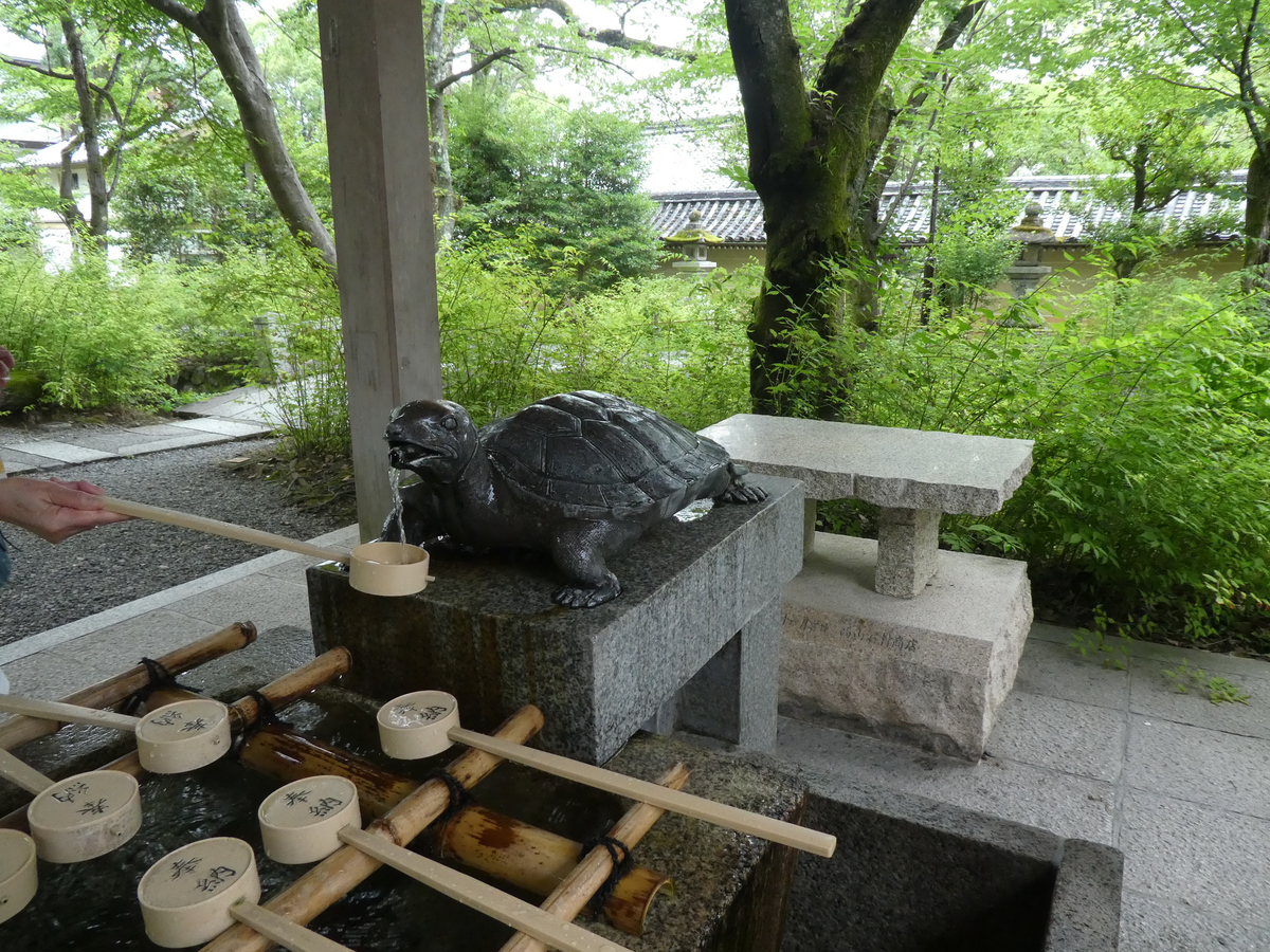 f:id:kazenokomichi:20190701181732j:plain