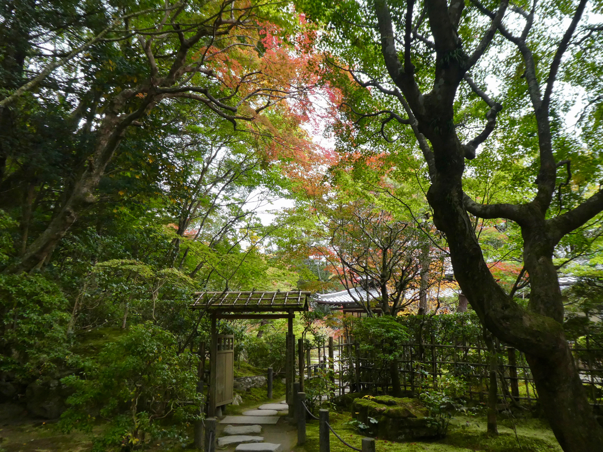f:id:kazenokomichi:20191203042206j:plain