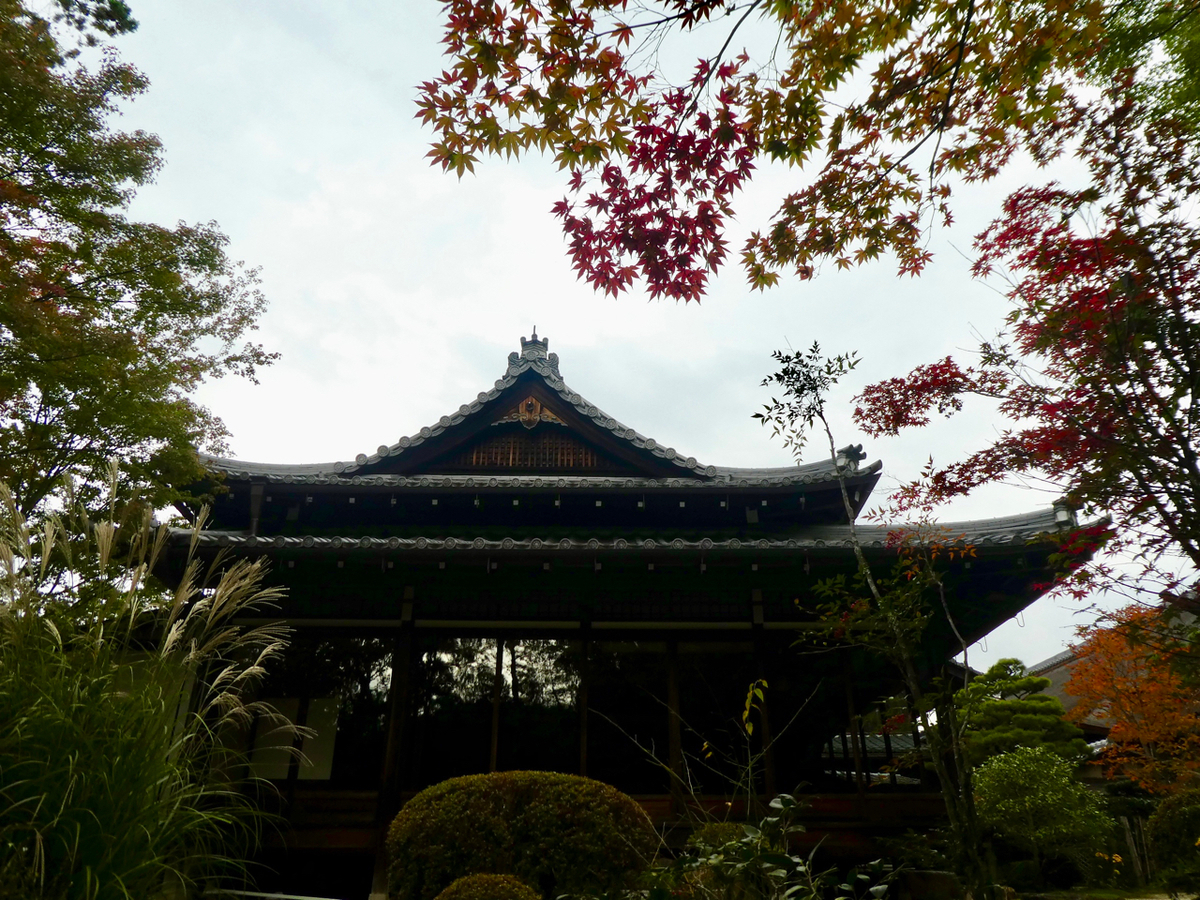 f:id:kazenokomichi:20191203043637j:plain