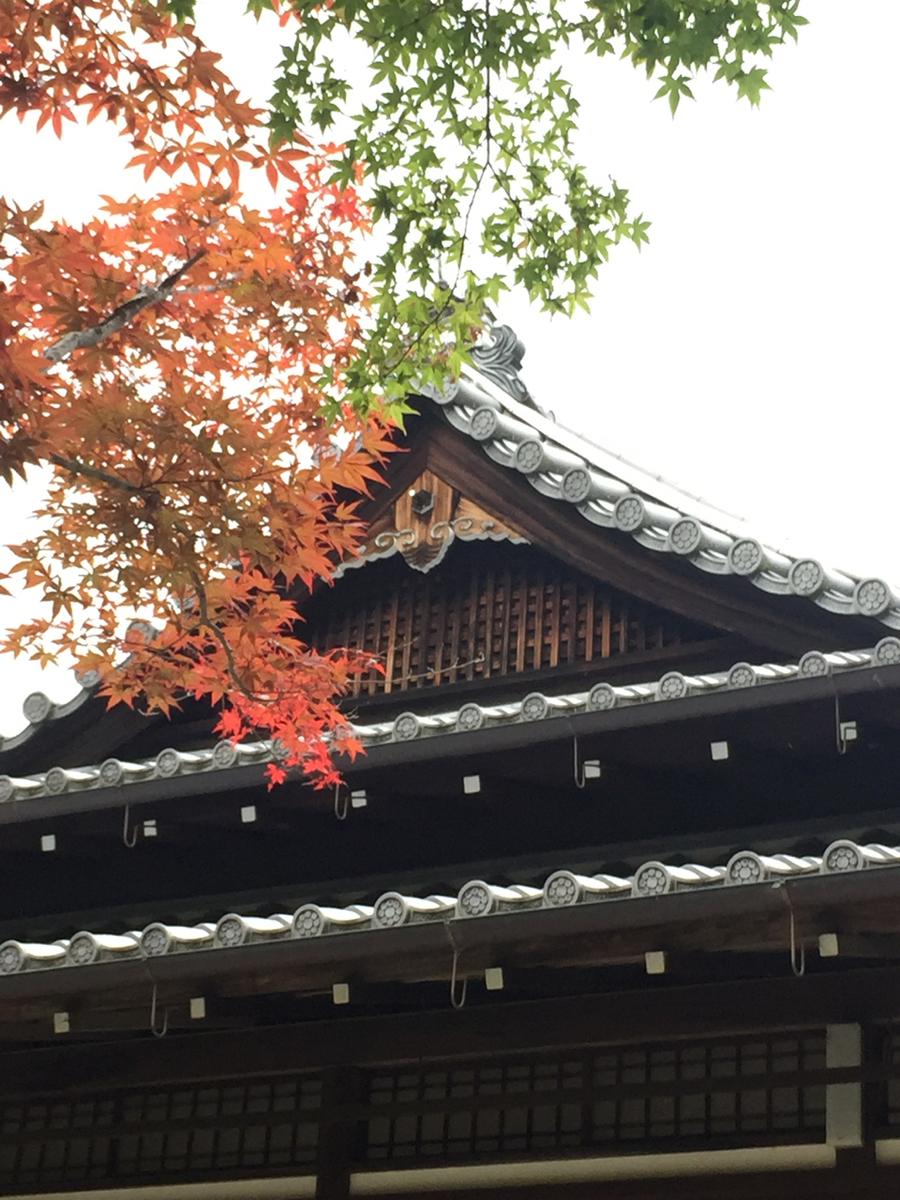 f:id:kazenokomichi:20191203044344j:plain