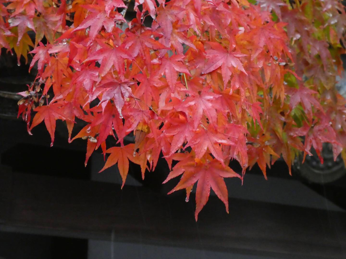 f:id:kazenokomichi:20191203044821j:plain