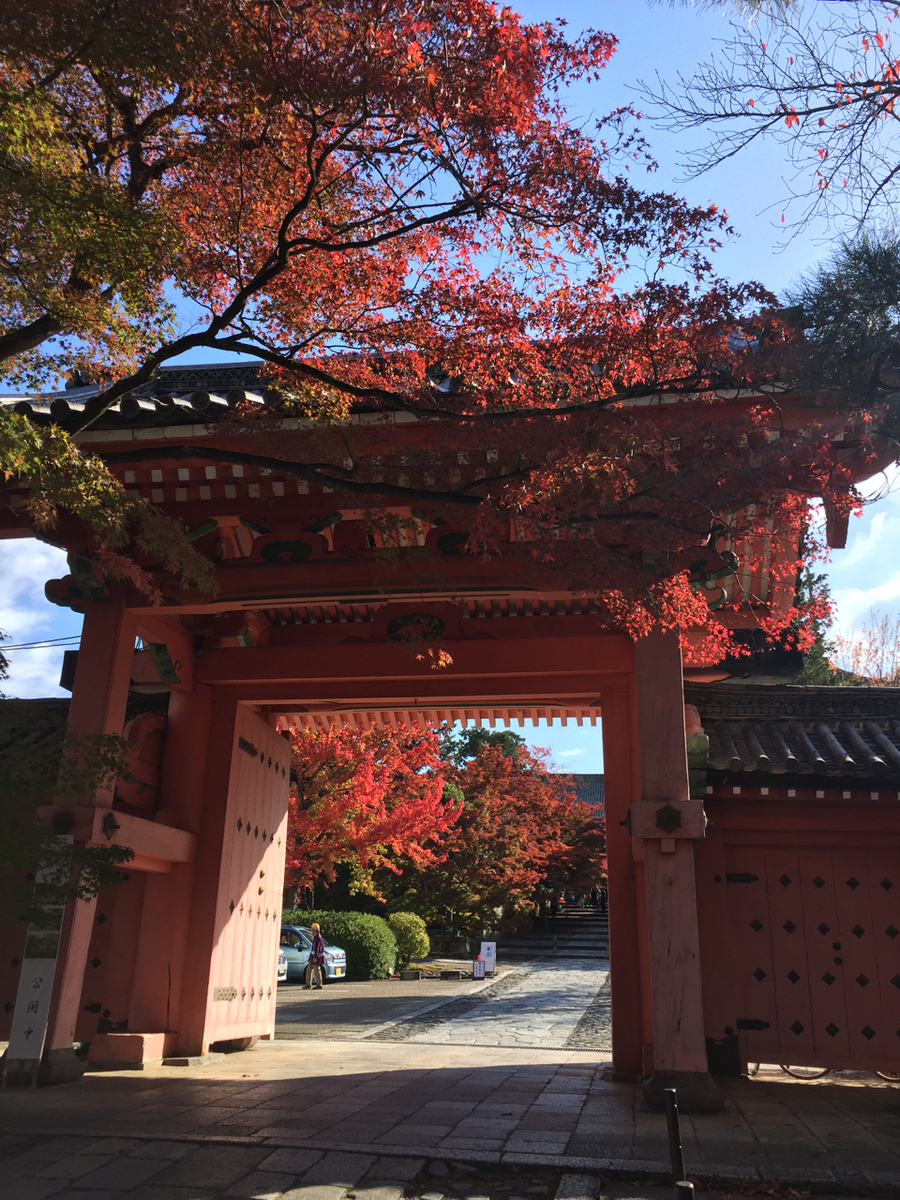 f:id:kazenokomichi:20191205140107j:plain f:id:kazenokomichi:20191205140107j:plain