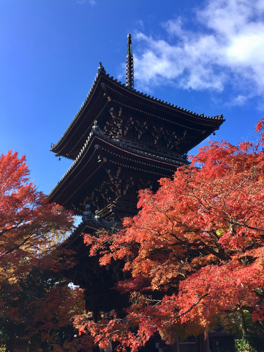 f:id:kazenokomichi:20191205140427j:plain f:id:kazenokomichi:20191205140427j:plain