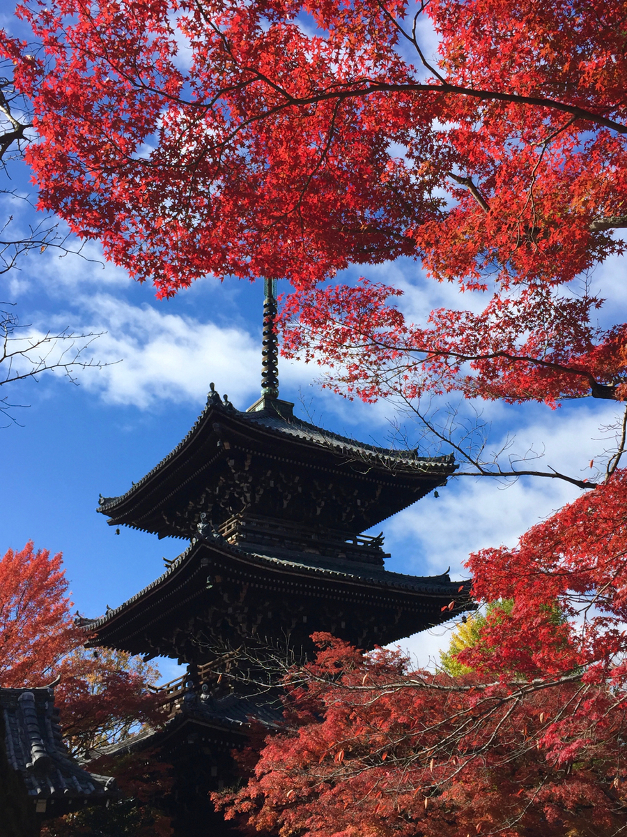 f:id:kazenokomichi:20191205140632j:plain f:id:kazenokomichi:20191205140632j:plain