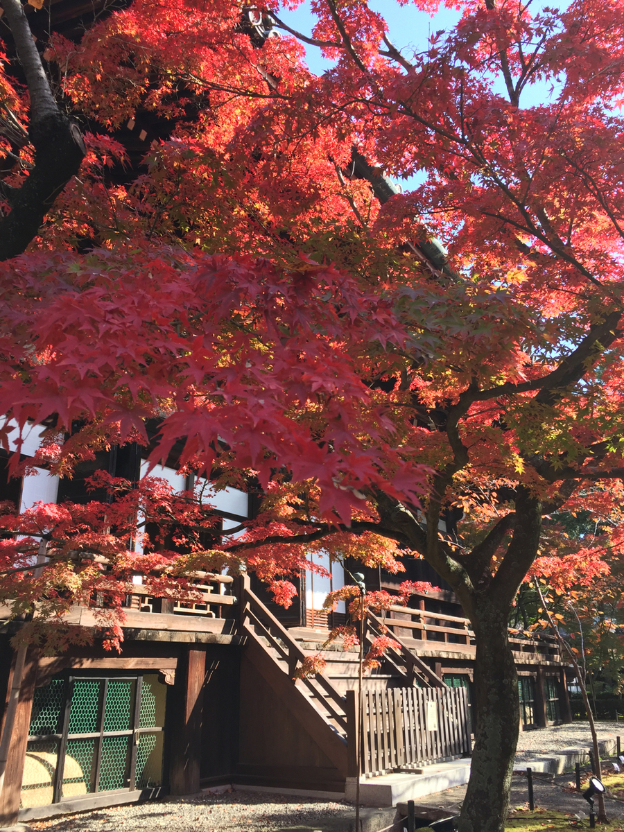 f:id:kazenokomichi:20191205140729j:plain f:id:kazenokomichi:20191205140729j:plain