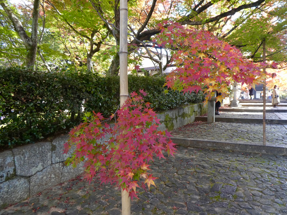f:id:kazenokomichi:20191205140834j:plain f:id:kazenokomichi:20191205140834j:plain