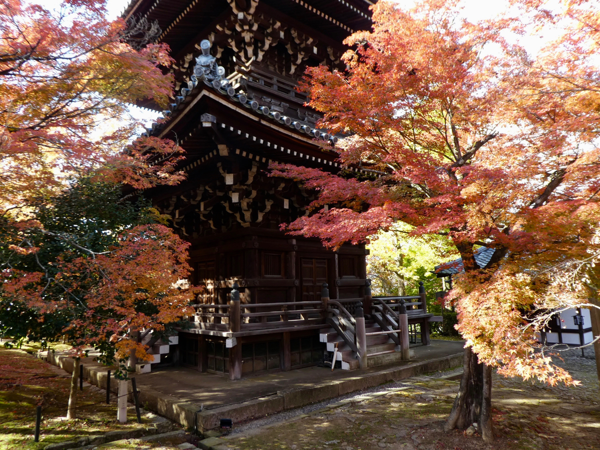 f:id:kazenokomichi:20191205140846j:plain f:id:kazenokomichi:20191205140846j:plain