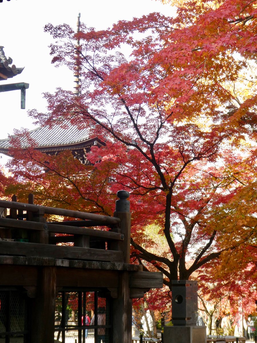 f:id:kazenokomichi:20191205140954j:plain f:id:kazenokomichi:20191205140954j:plain