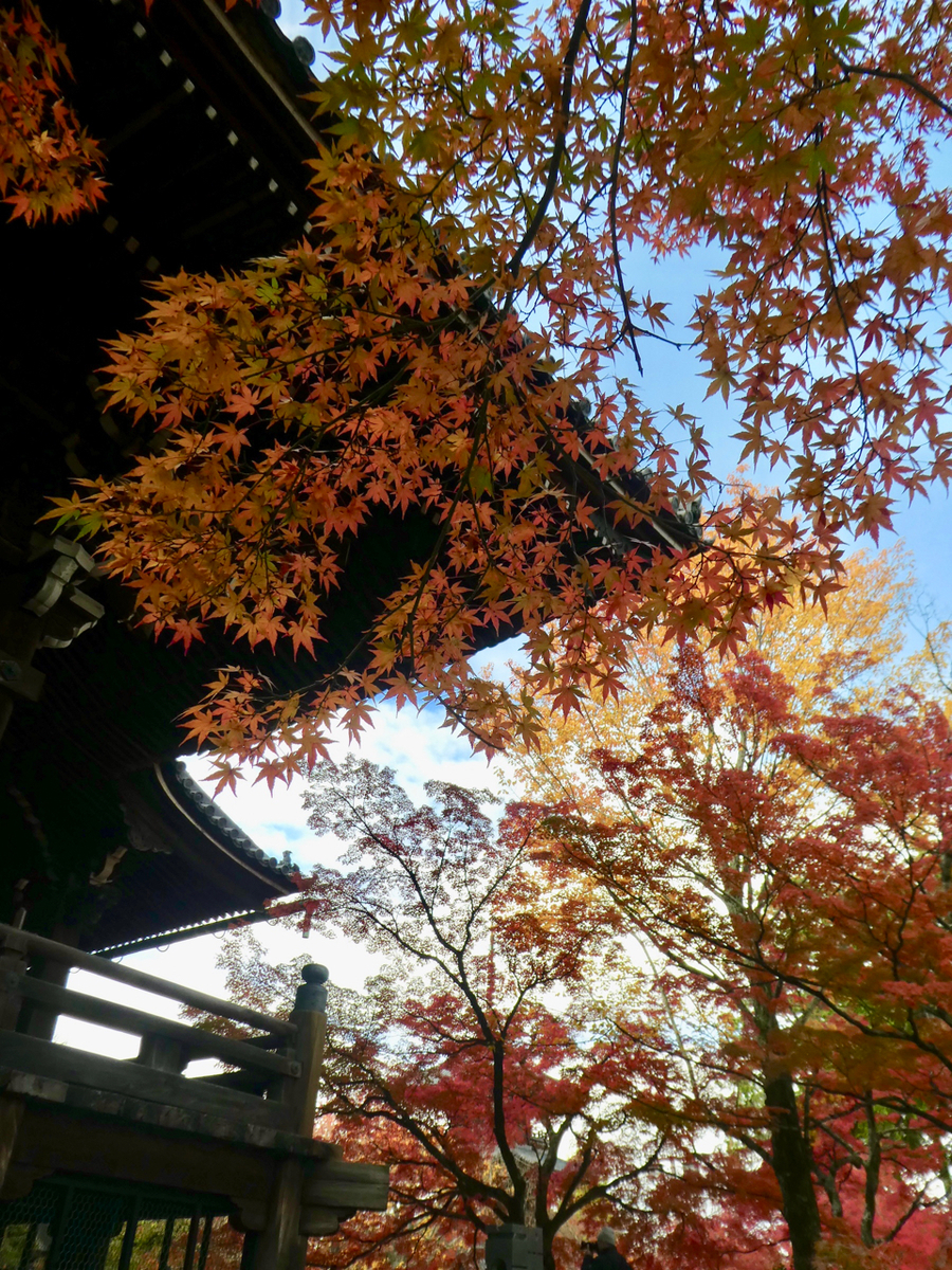 f:id:kazenokomichi:20191205141007j:plain f:id:kazenokomichi:20191205141007j:plain