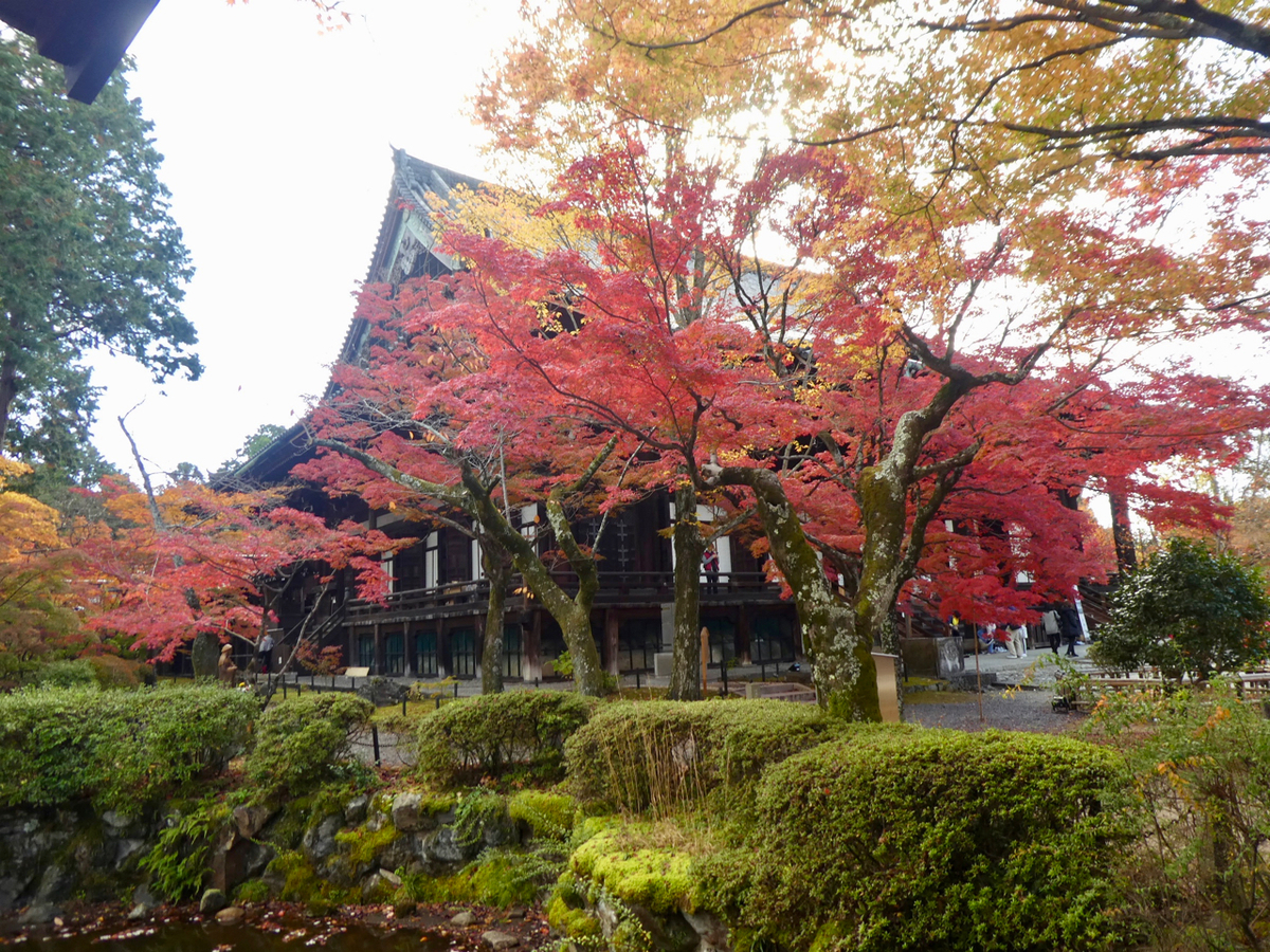 f:id:kazenokomichi:20191205141211j:plain f:id:kazenokomichi:20191205141211j:plain