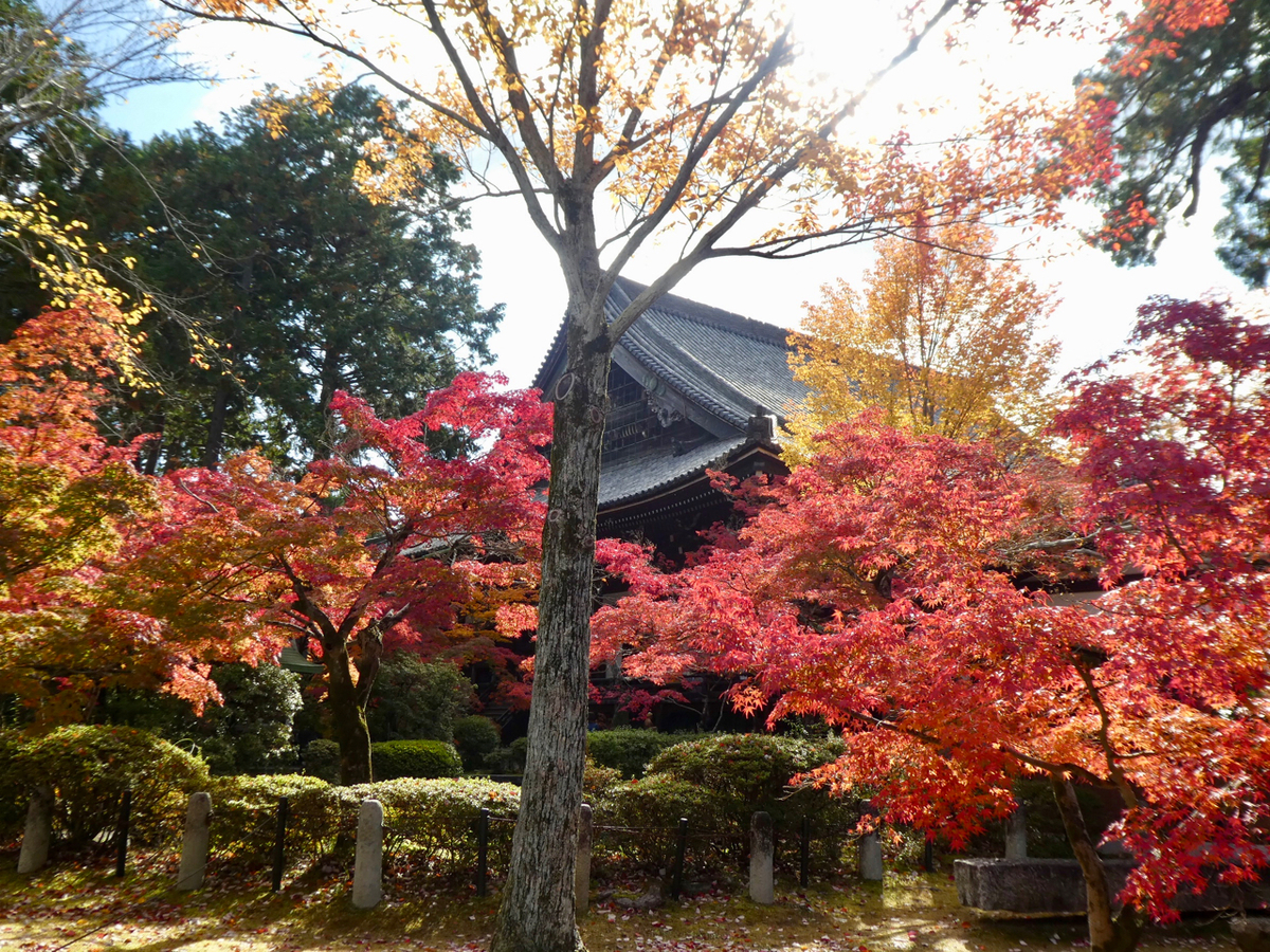 f:id:kazenokomichi:20191205141222j:plain f:id:kazenokomichi:20191205141222j:plain