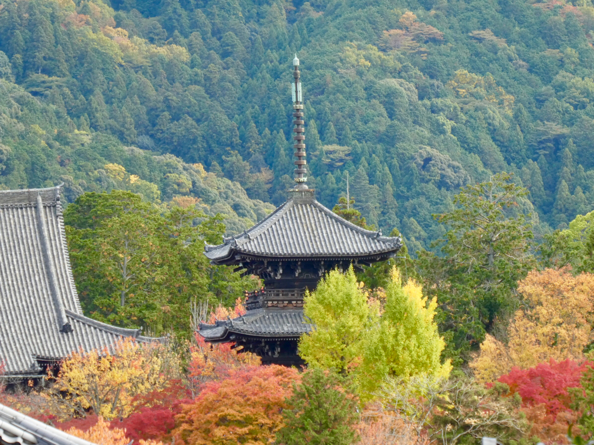 f:id:kazenokomichi:20191205142049j:plain f:id:kazenokomichi:20191205142049j:plain