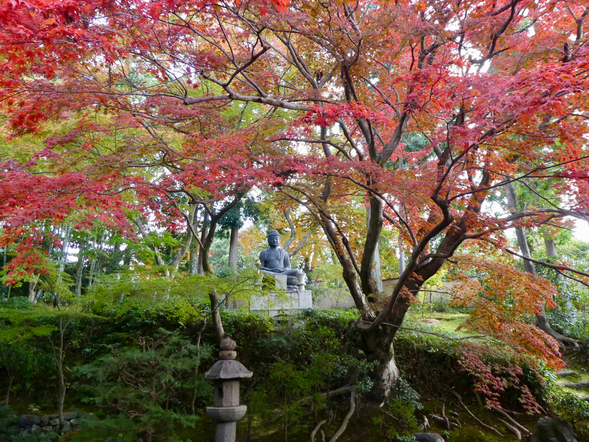 f:id:kazenokomichi:20191205142238j:plain f:id:kazenokomichi:20191205142238j:plain
