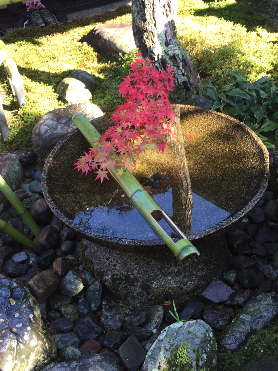 f:id:kazenokomichi:20191207232134j:plain f:id:kazenokomichi:20191207232134j:plain