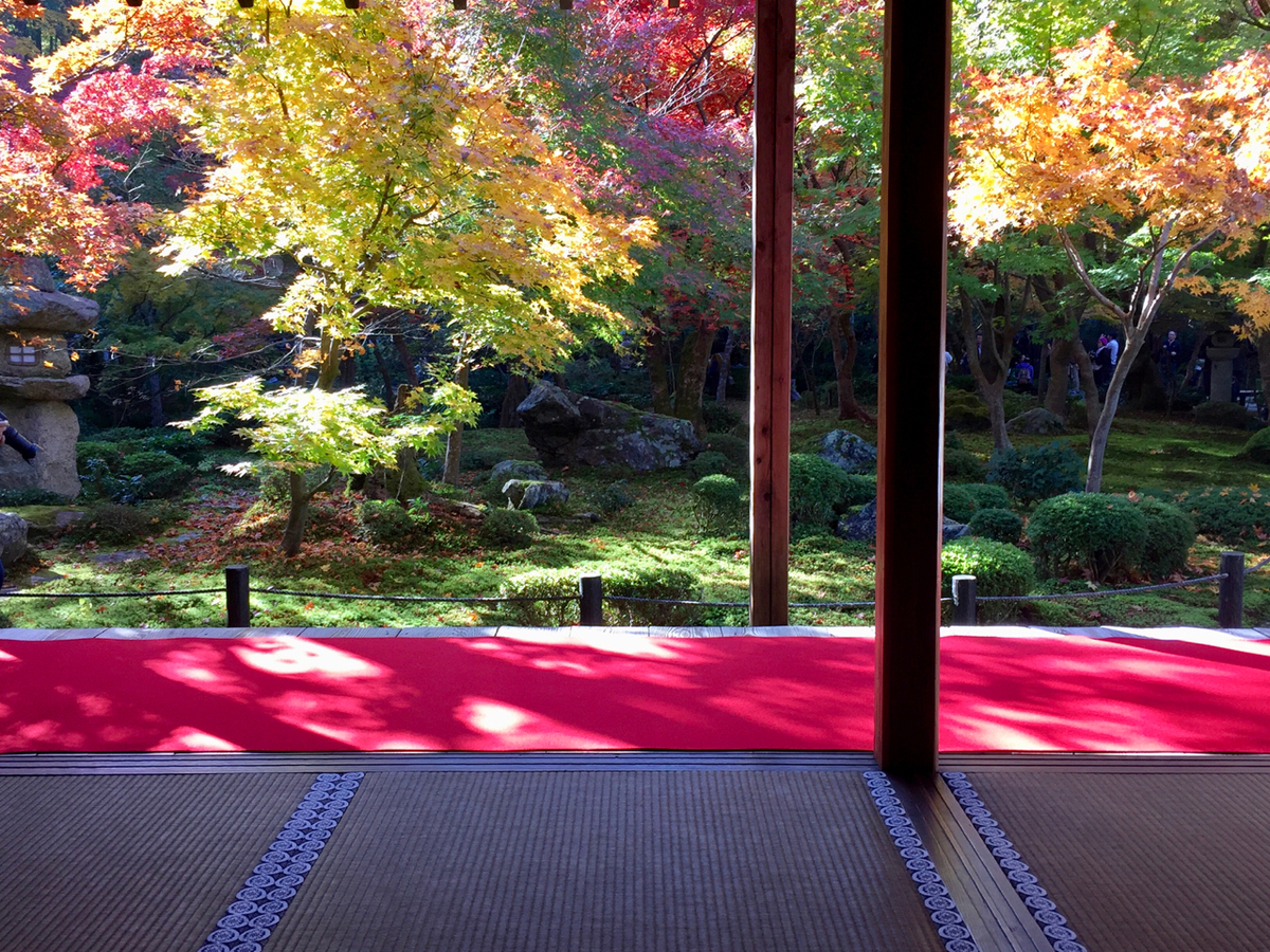 f:id:kazenokomichi:20191207232451j:plain f:id:kazenokomichi:20191207232451j:plain