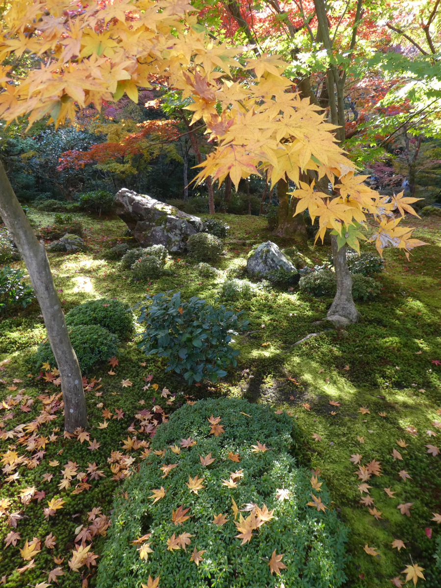 f:id:kazenokomichi:20191207233958j:plain f:id:kazenokomichi:20191207233958j:plain