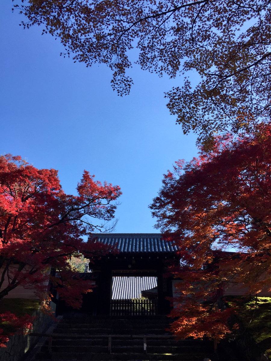 f:id:kazenokomichi:20191207234111j:plain f:id:kazenokomichi:20191207234111j:plain