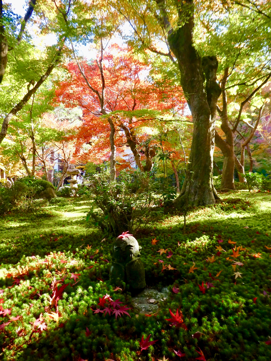 f:id:kazenokomichi:20191207234329j:plain f:id:kazenokomichi:20191207234329j:plain