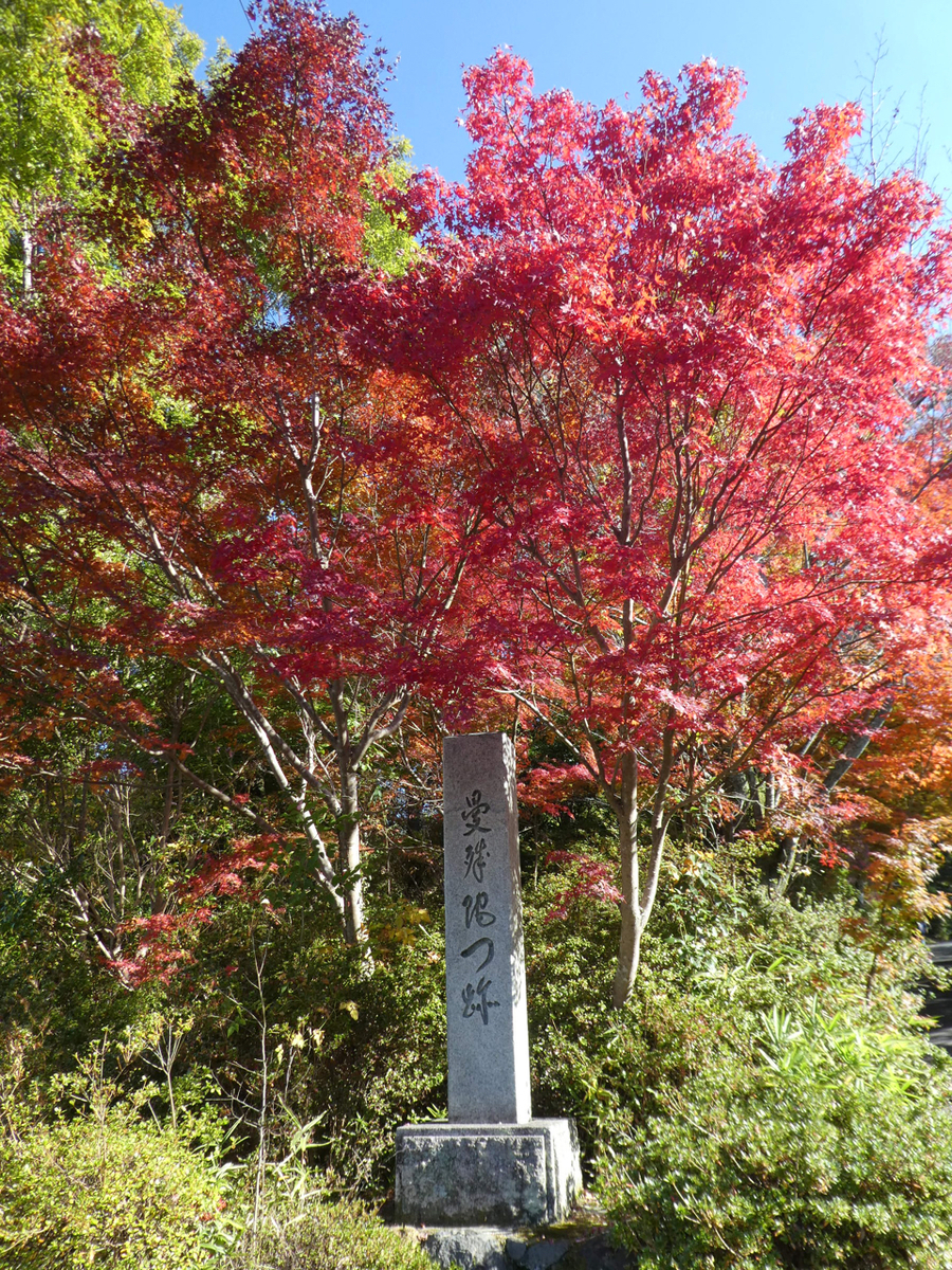 f:id:kazenokomichi:20191207234840j:plain f:id:kazenokomichi:20191207234840j:plain