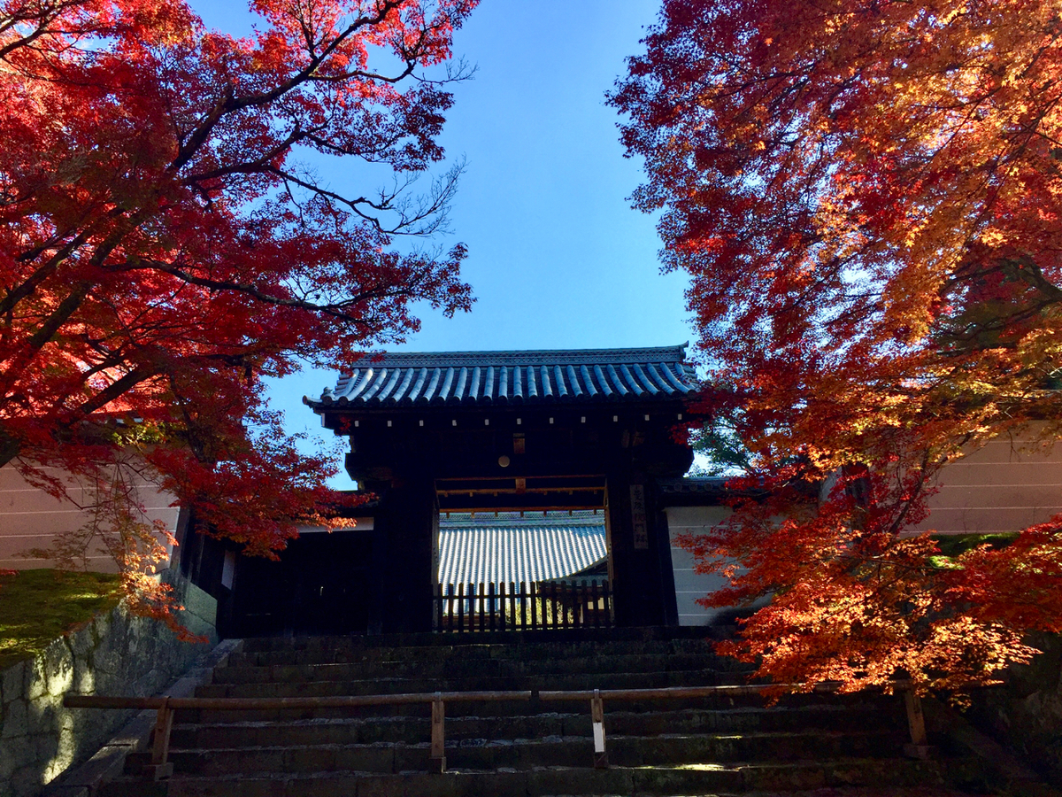 f:id:kazenokomichi:20191207235211j:plain f:id:kazenokomichi:20191207235211j:plain