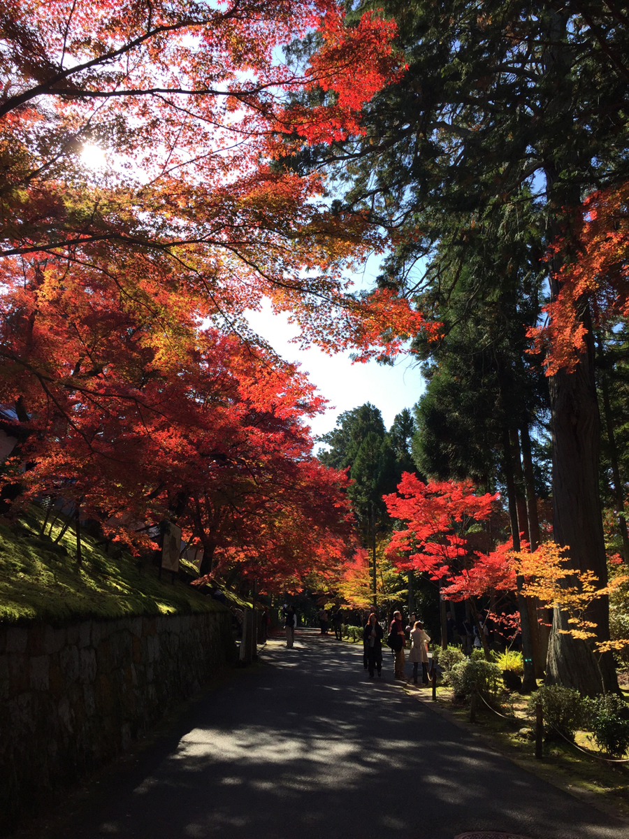 f:id:kazenokomichi:20191207235445j:plain f:id:kazenokomichi:20191207235445j:plain